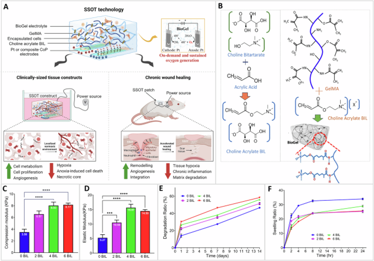 New Bioengineered Patch Makes Its Own Oxygen to Heal Wounds and Grow Tissue