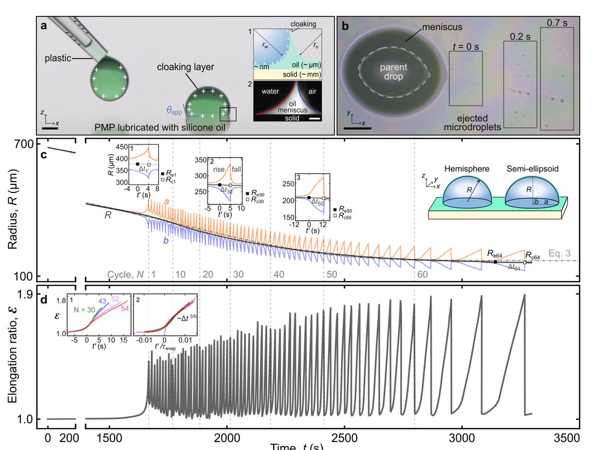 Evaporation-Driven Droplet Fission Study Points to Nanoscale Fabrication Potential