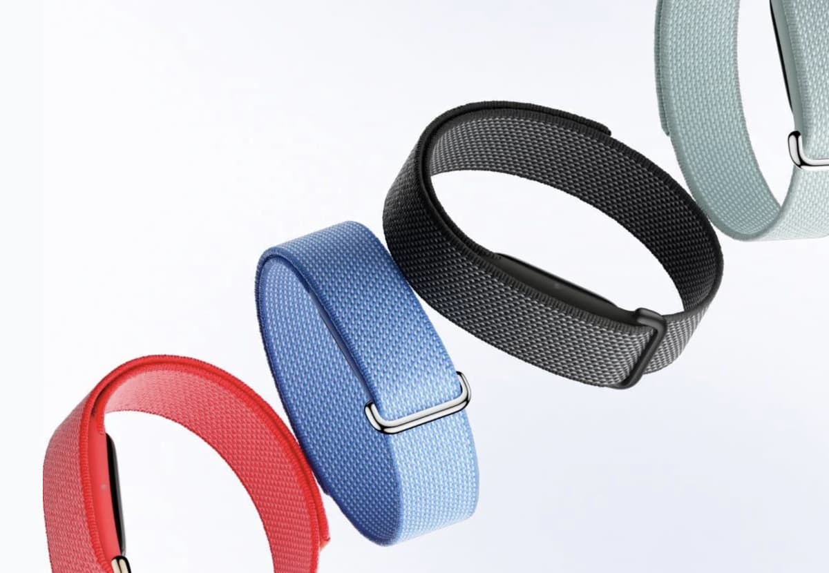 Google Fitbit Air