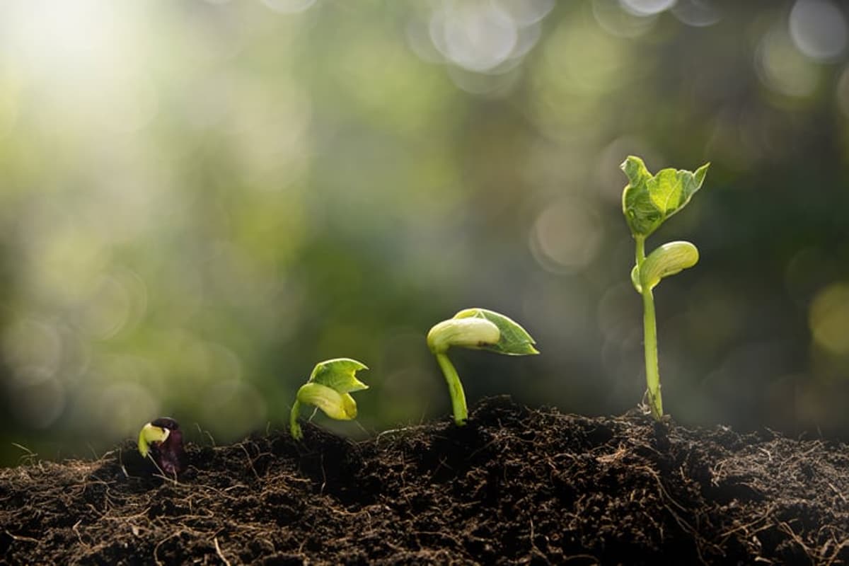 On The Growing Mid-Sized Law Firm