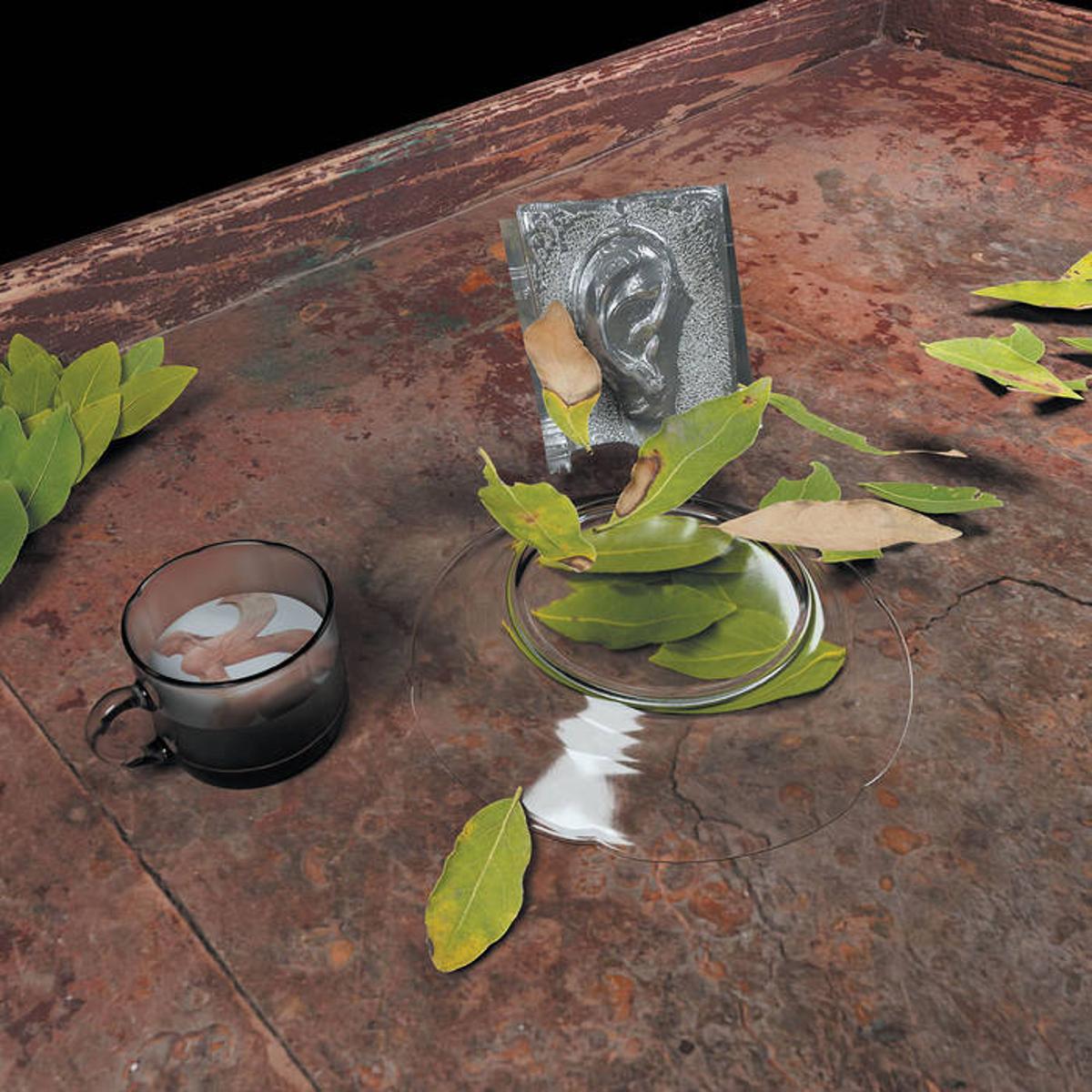 Christina Vantzou ~ The Reintegration of the Ear