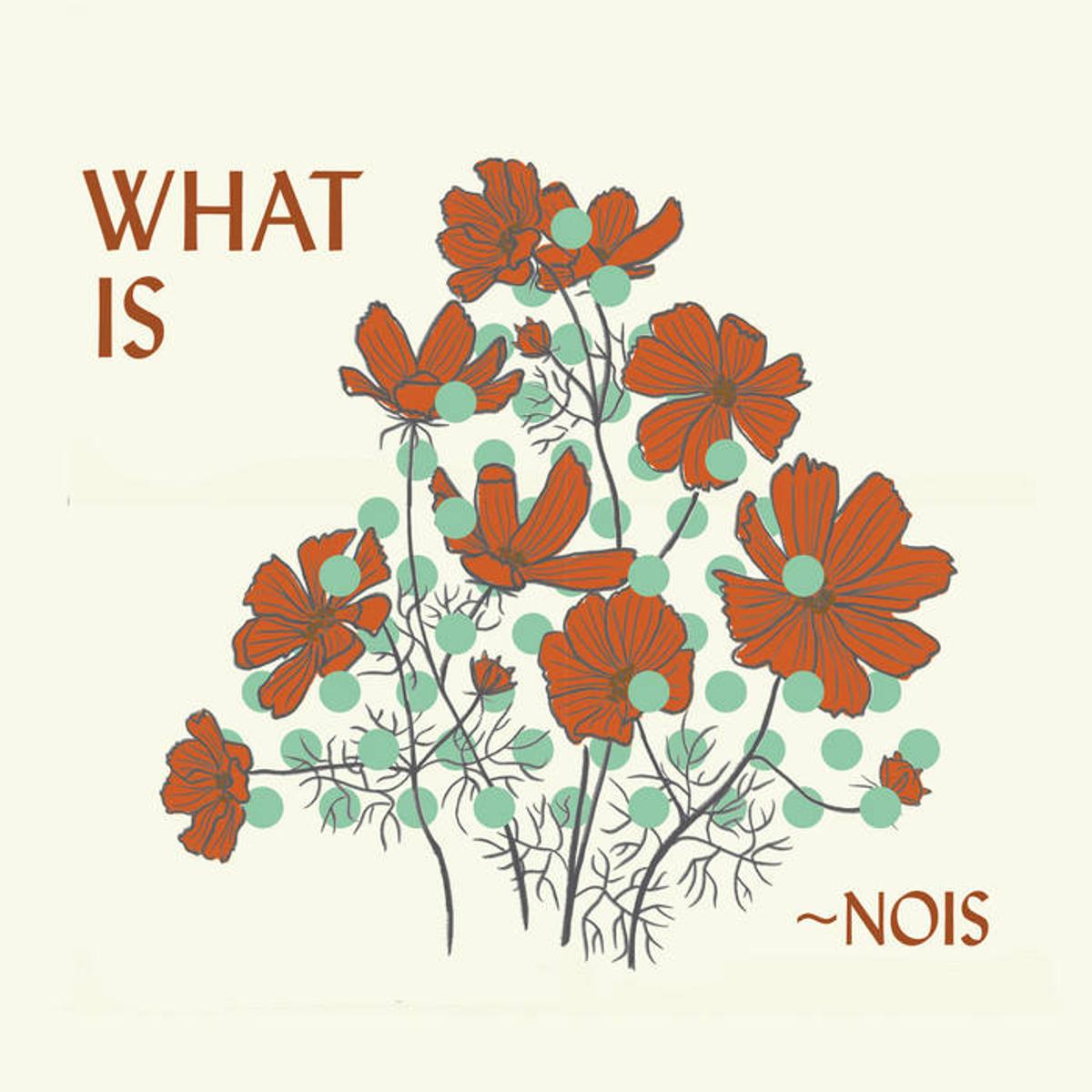 ~Nois ~ What Is ~Nois