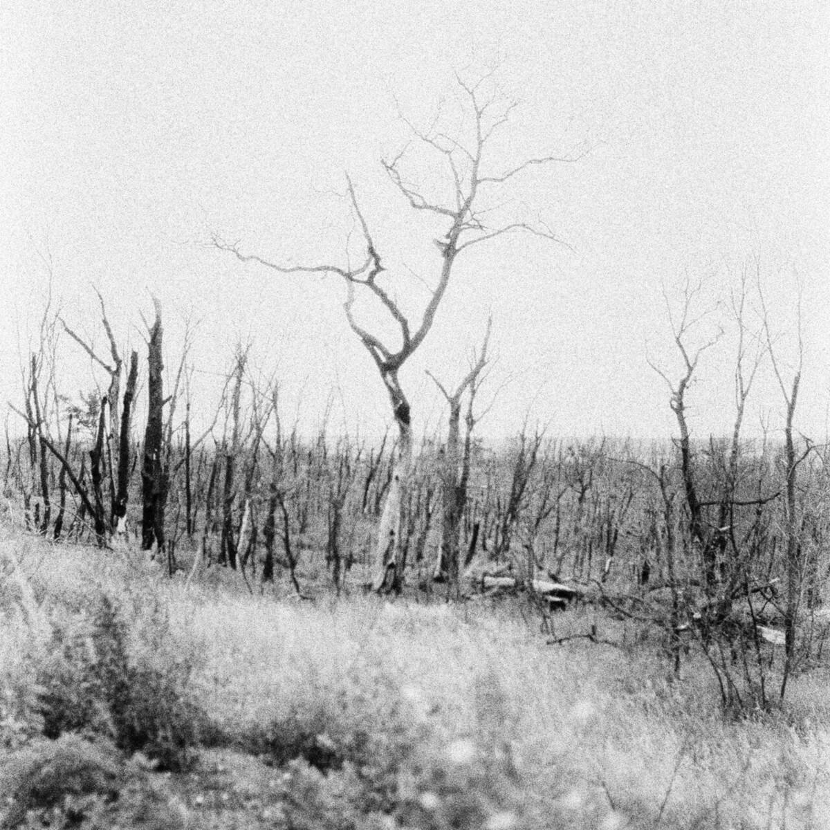 Natalia Tsupryk ~ Vil’na