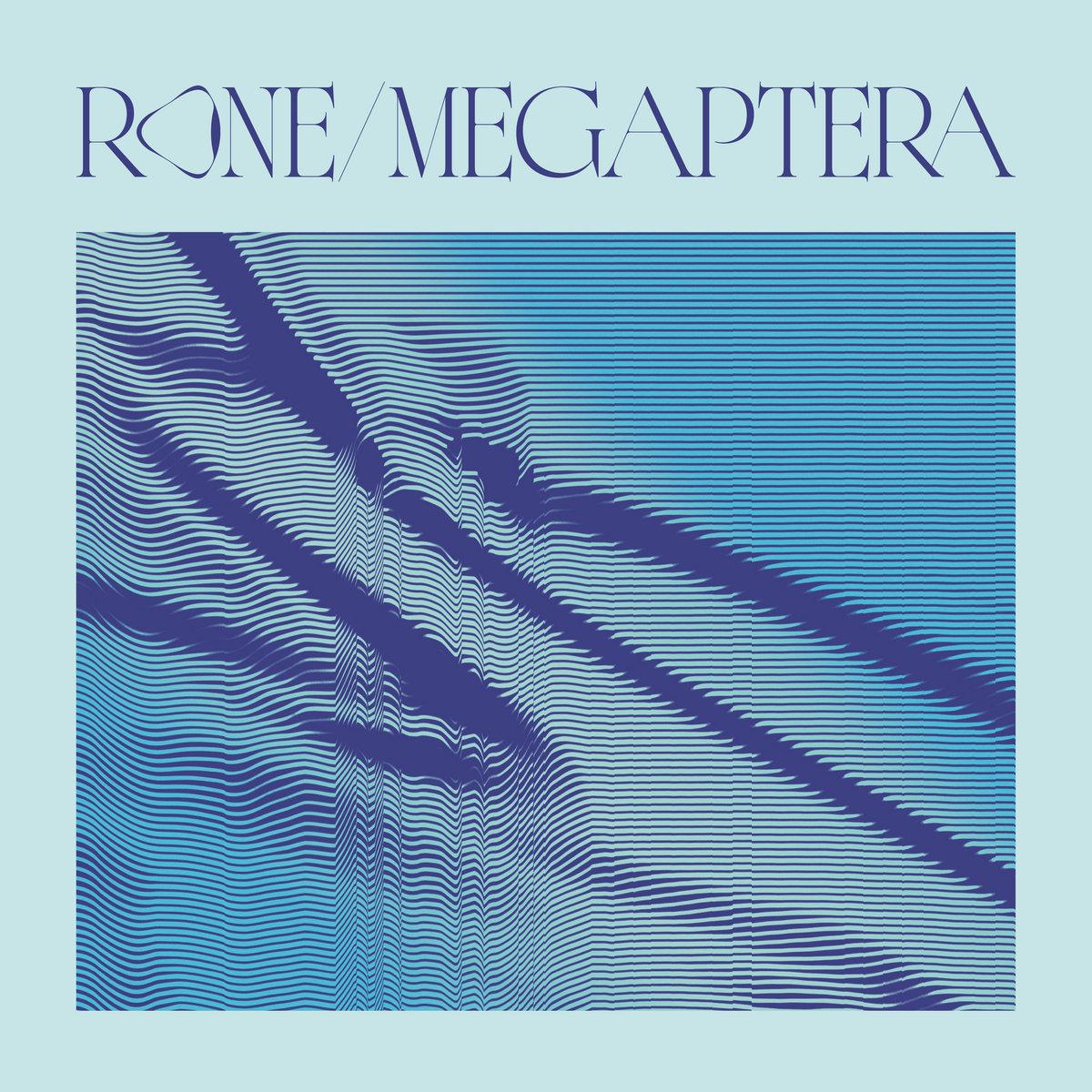 Rone ~ Megaptera