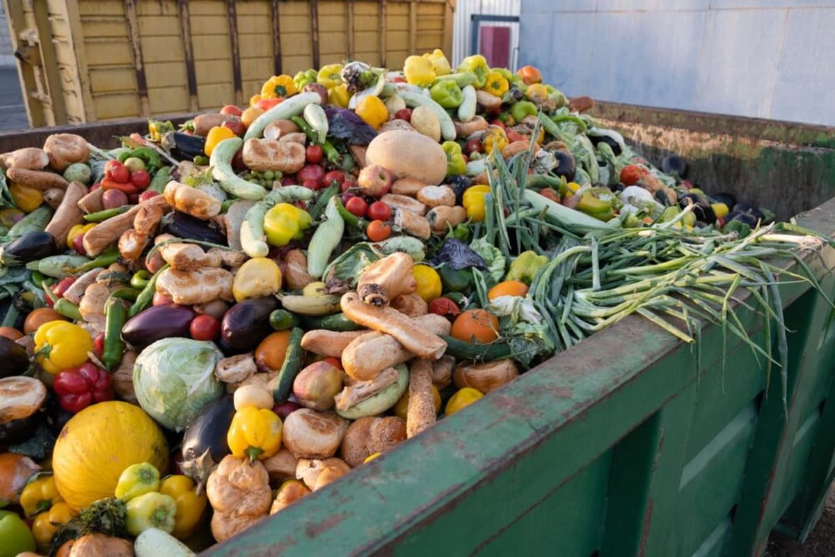 What Investors Should Know Before Backing AI Tools for Food Waste Management: Report