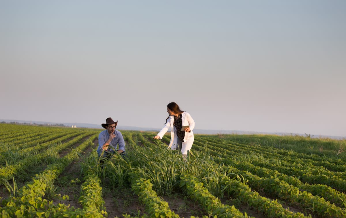 Guest Article: Open-Source Education Is Key to Helping Agriculture Overcome Its Data Phobia