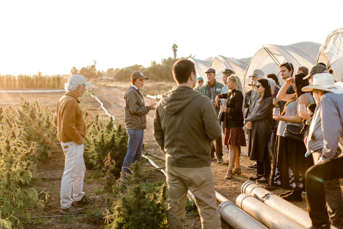 Patagonia & Rodale Institute to Transition an Entire California County to Regenerative Agriculture