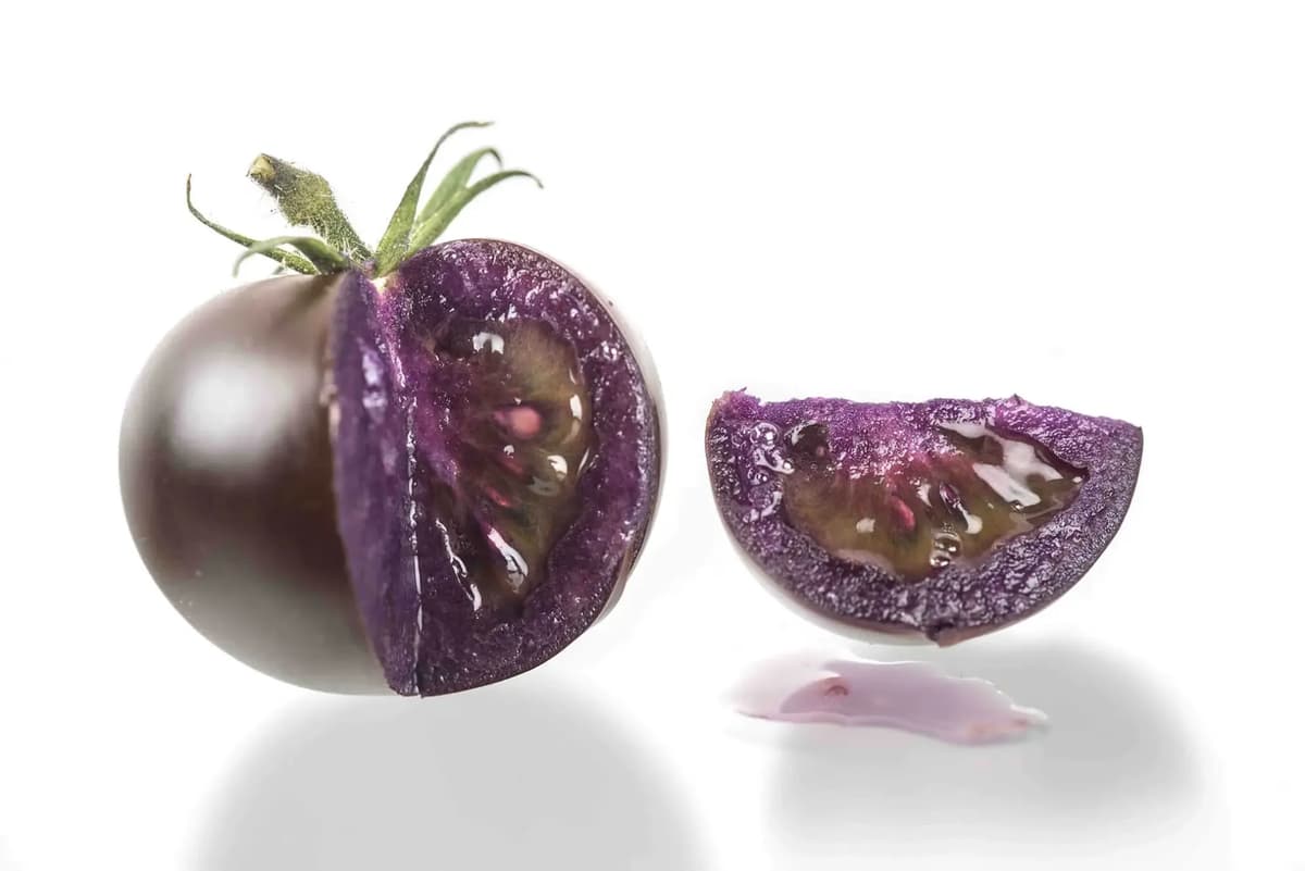 How to Sell the Next Wave of Gene-Edited Crops? Let the Little Guys Do It