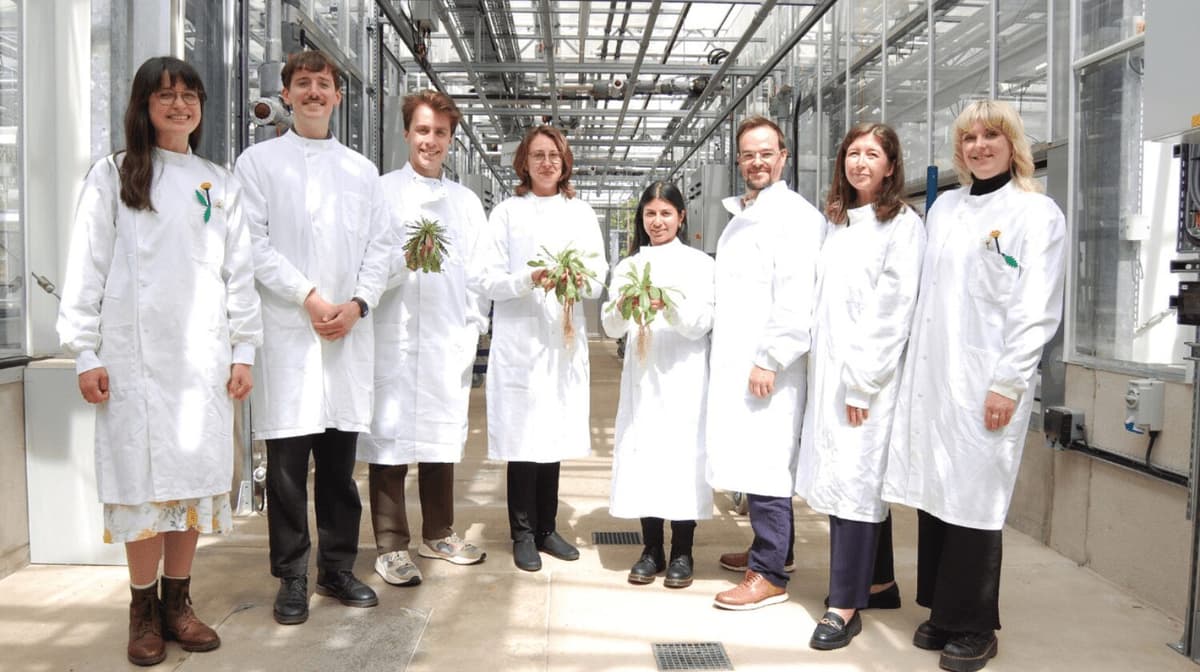 AgriFood Signals: More Microsoft Carbon Deals, a $200m Greenhouse in Mexico, Rubber From Dandelions