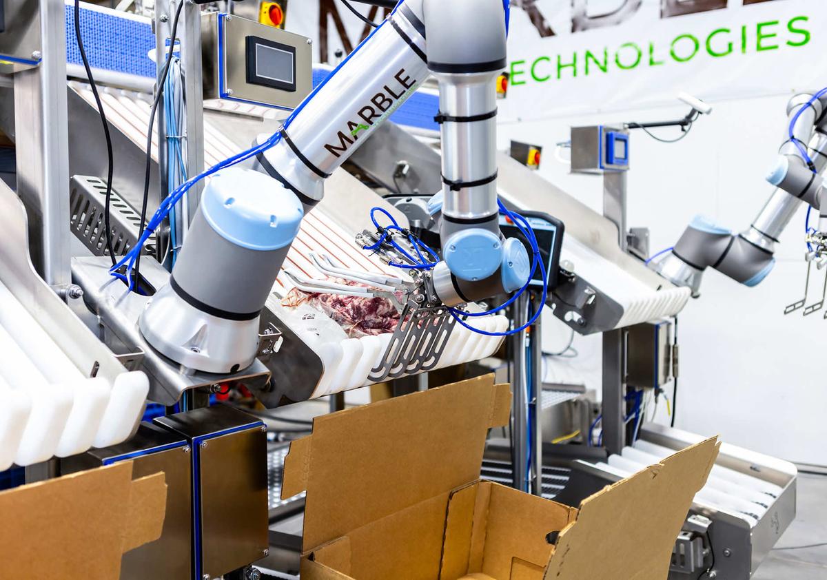 AgriFood Signals: $30m for Meatpacking Tech, Rabobank Sells Foodbytes, Job Cuts at Aleph Farms