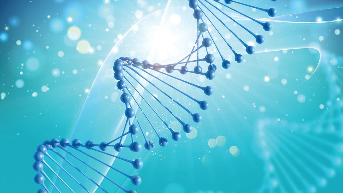 TileDB Announces Integration with Snowflake to Launch TileDB Carrara