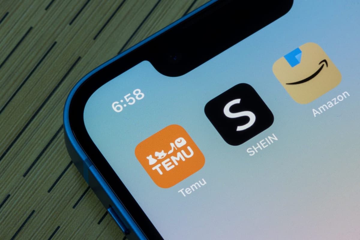 Temu, Shein Cost German Economy €2.4bn a Year: Study