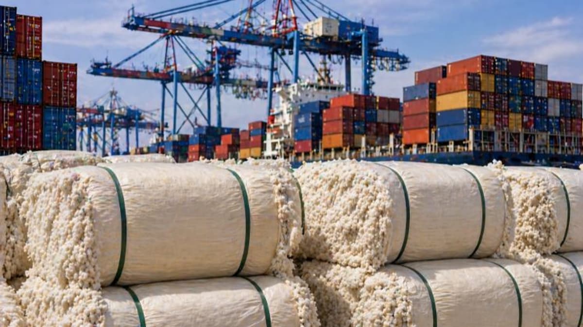 Policy Divide Widens Over Cotton Import Duty Amid Cost Pressures and MSP Concerns