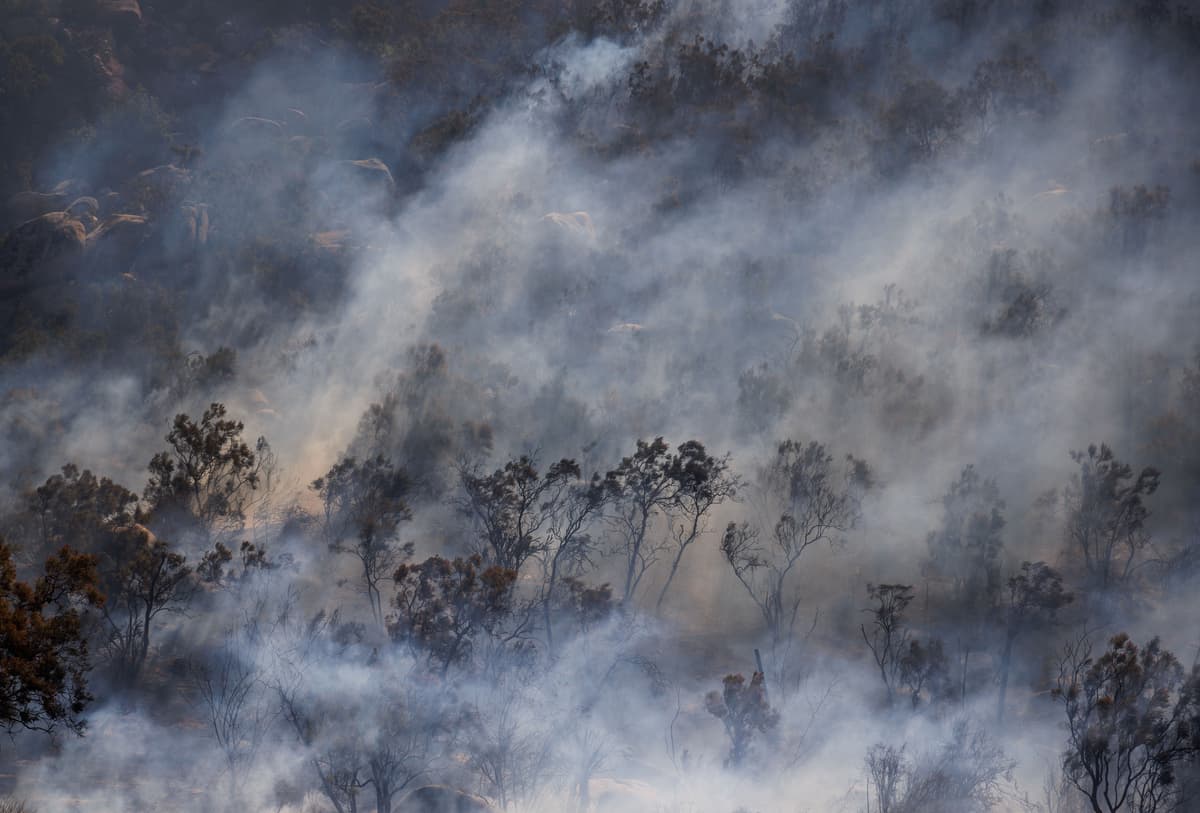 State Bill Could End Tax Break for Large Digital Lenders