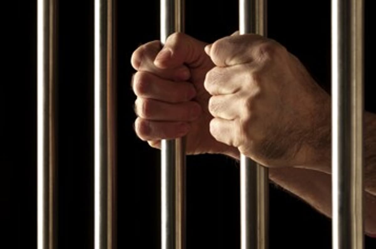 Tax Fraud Blotter: Running Backlash