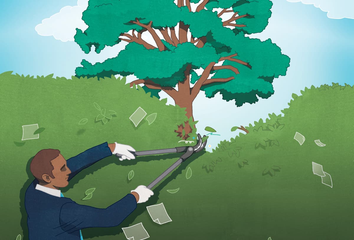 Advisory Services: Pruning for Growth