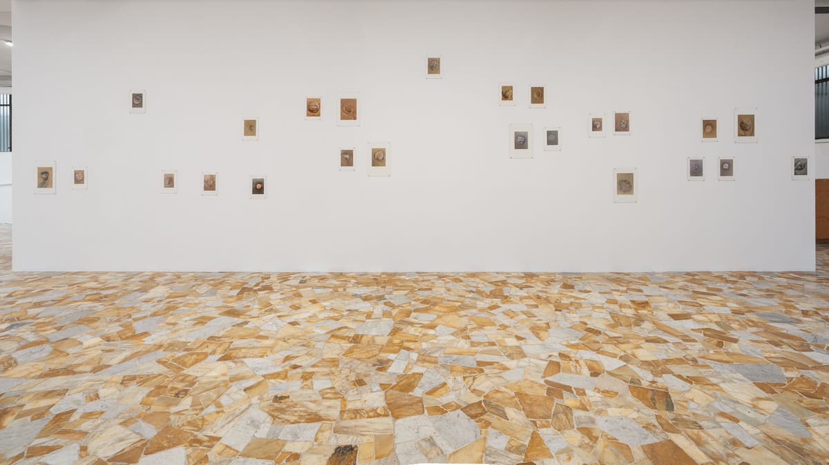 Eva Löfdahl at VEDA, Milan