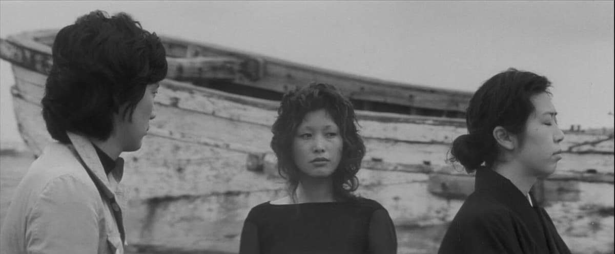 Secret Flower (1971) by Koji Wakamatsu Film Review