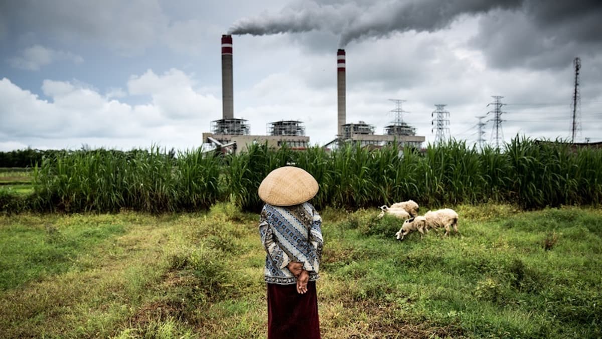 Why Japan Should Help Pay for Indonesia’s Coal Exit