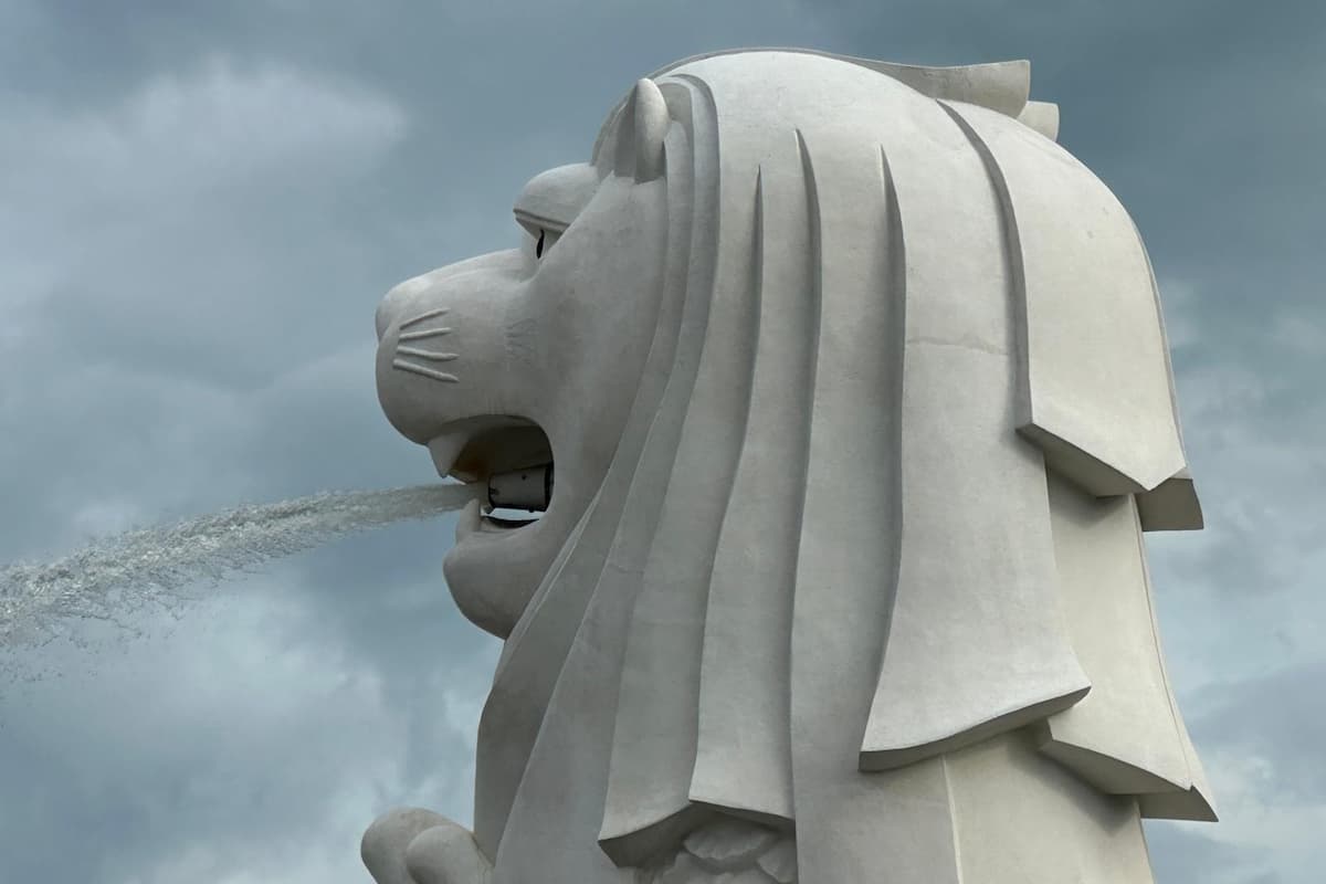 When All the Capital Lands in Singapore and Goes Nowhere Else