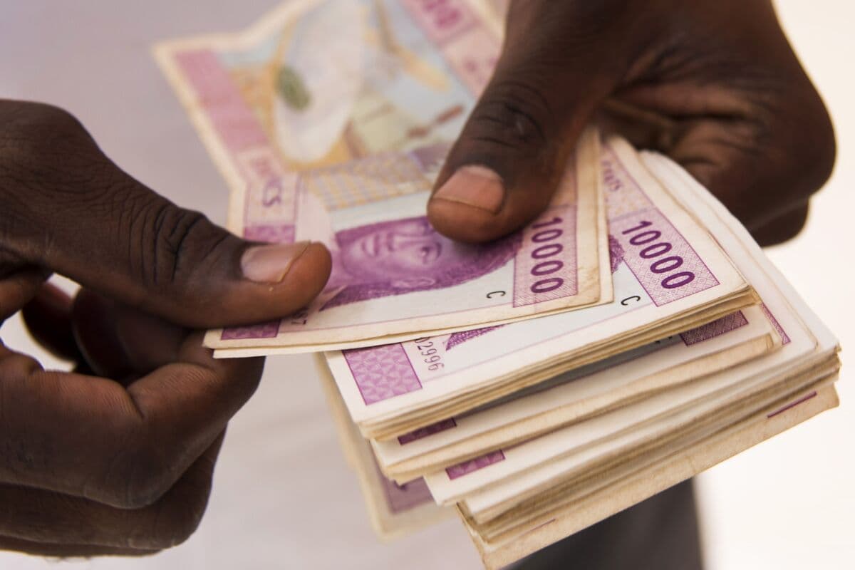 Citi Economist Urges CFA Franc Devaluation to Spur Growth in Central Africa
