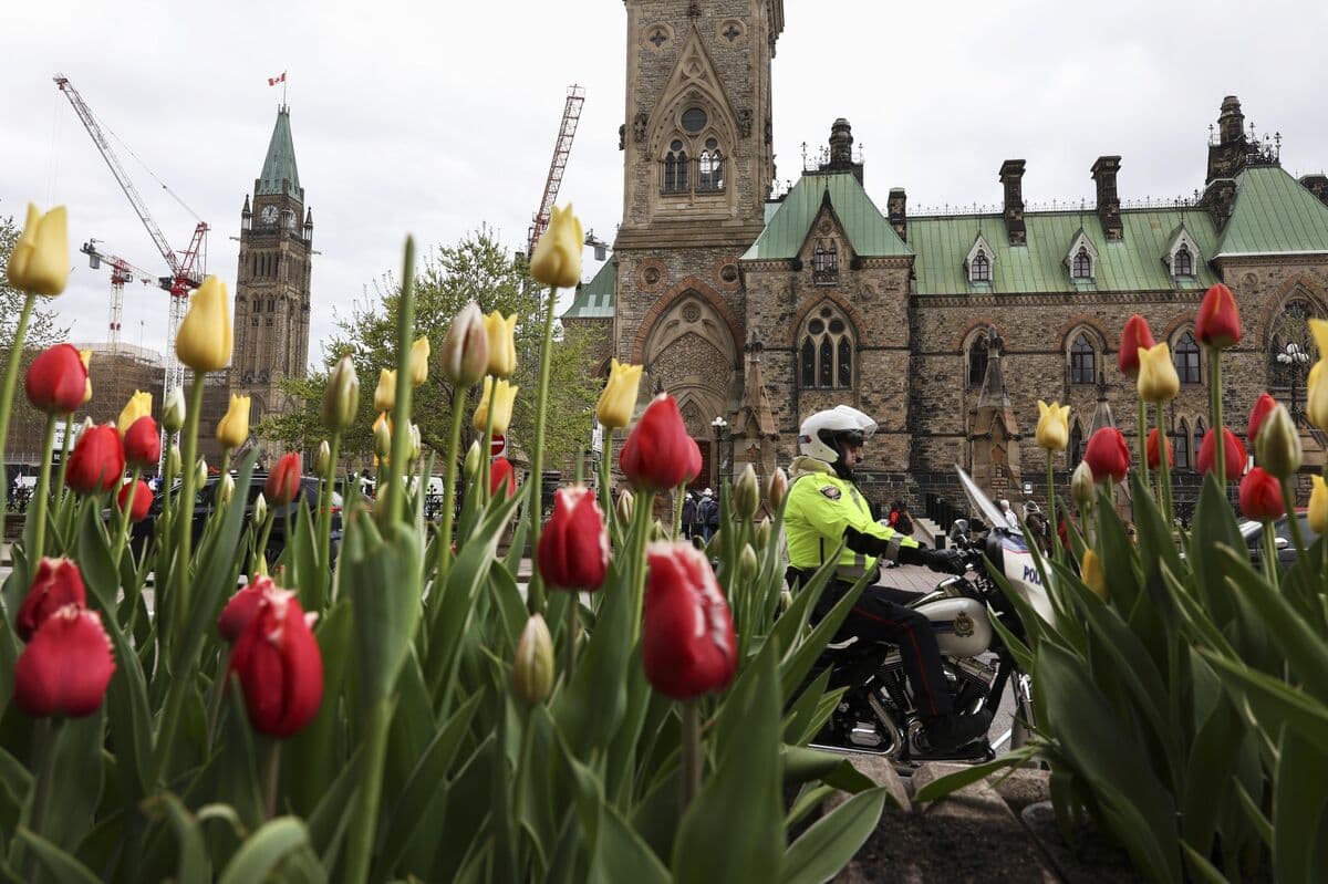 A Canadian Recession? We’re Not There Yet, Economist Says