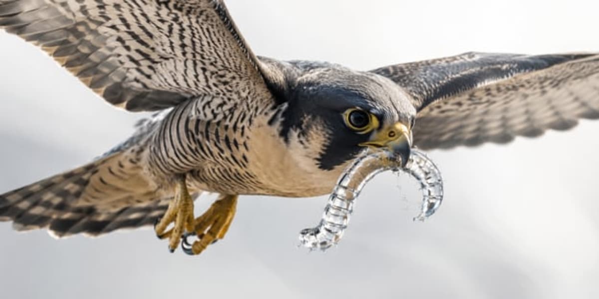 CrowdStrike Disrupts Glassworm Supply Chain Botnet