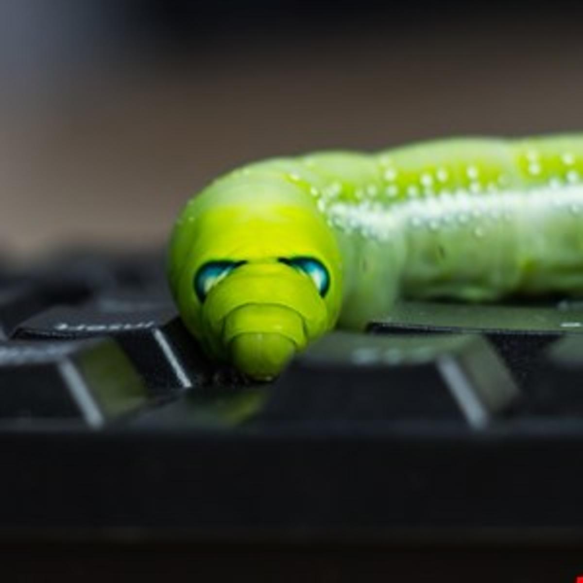 Shai-Hulud-Like Worm Targets Developers via Npm and AI Tools