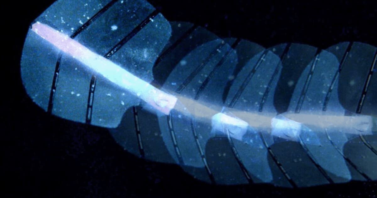 'Stingraybot' Uses Microbubble Muscles Controlled by Ultrasound