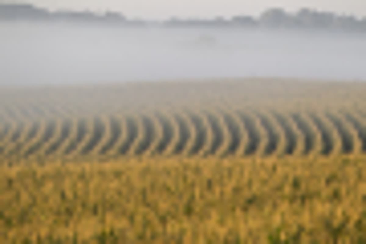 Welcome RFS Rule Will Boost Iowa's Economy