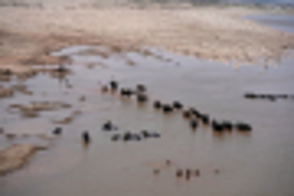 It's Official: El Niño Is Here
