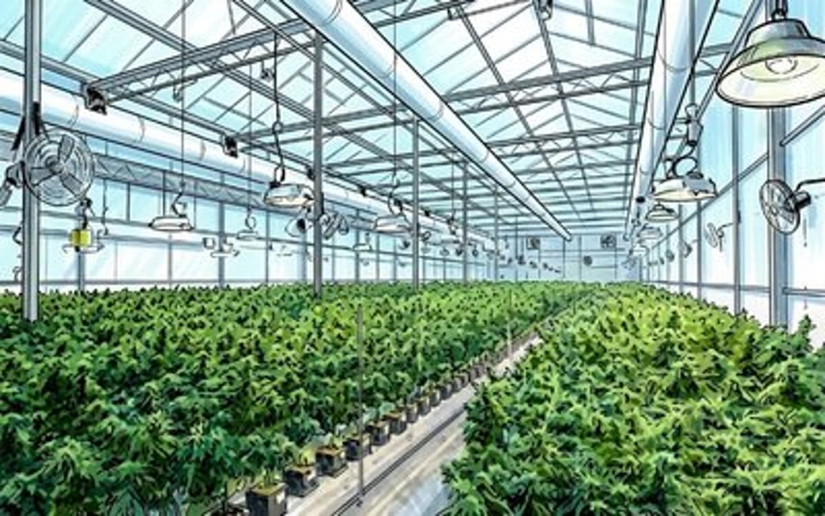Bioxyne Signs $50m Exclusive German Supply Deal with ADREX
