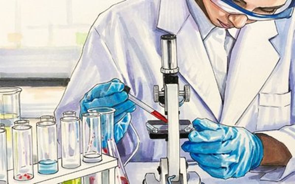 Emyria Launches Empax Global Partnership Platform Targeting International Drug Sponsors