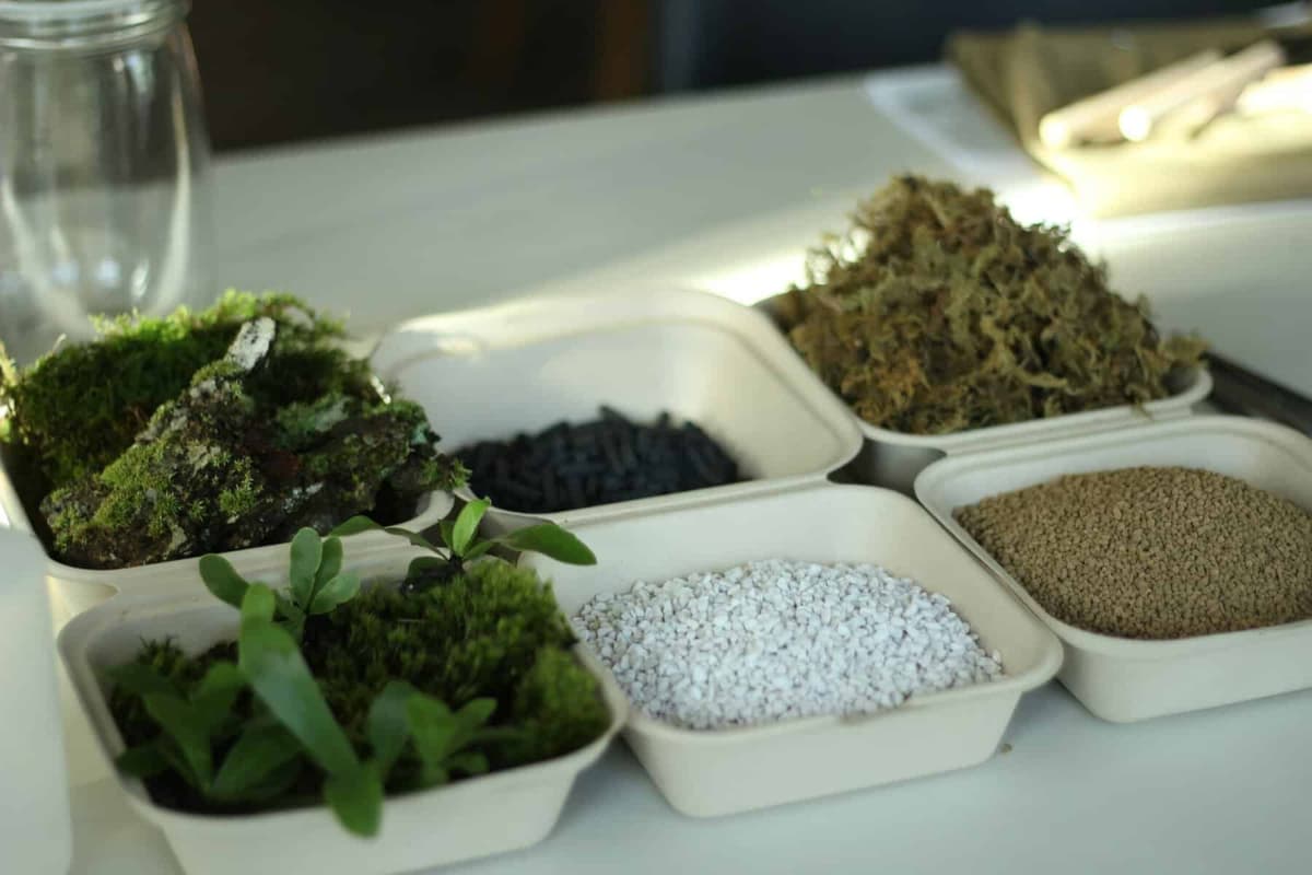 Bipartisan Bill Would Use Tax Credits to Build US Plant-Based Materials Sector