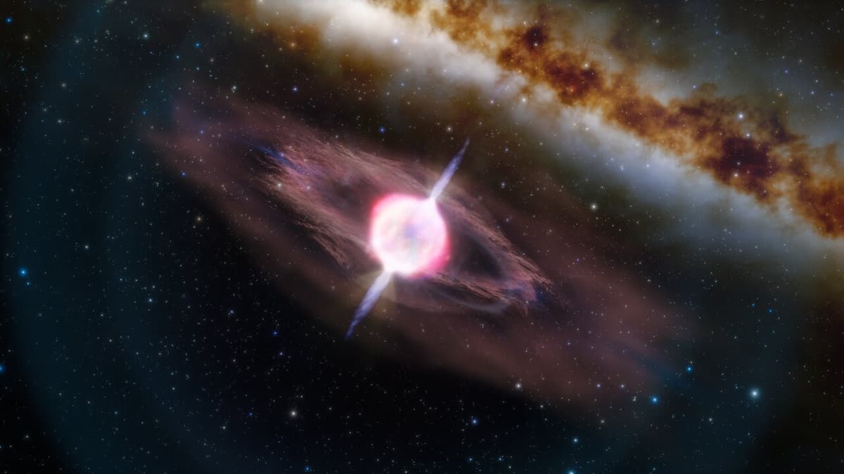 Live Fast Die Immediately – Spinning Black Holes in Collapsars