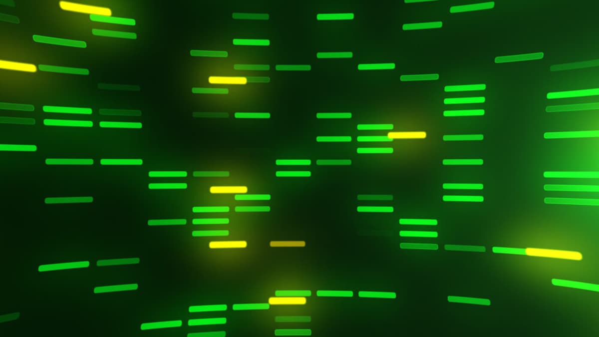 The Automotive Update: Contrasting Fortunes for Europe’s Major New-Car Markets