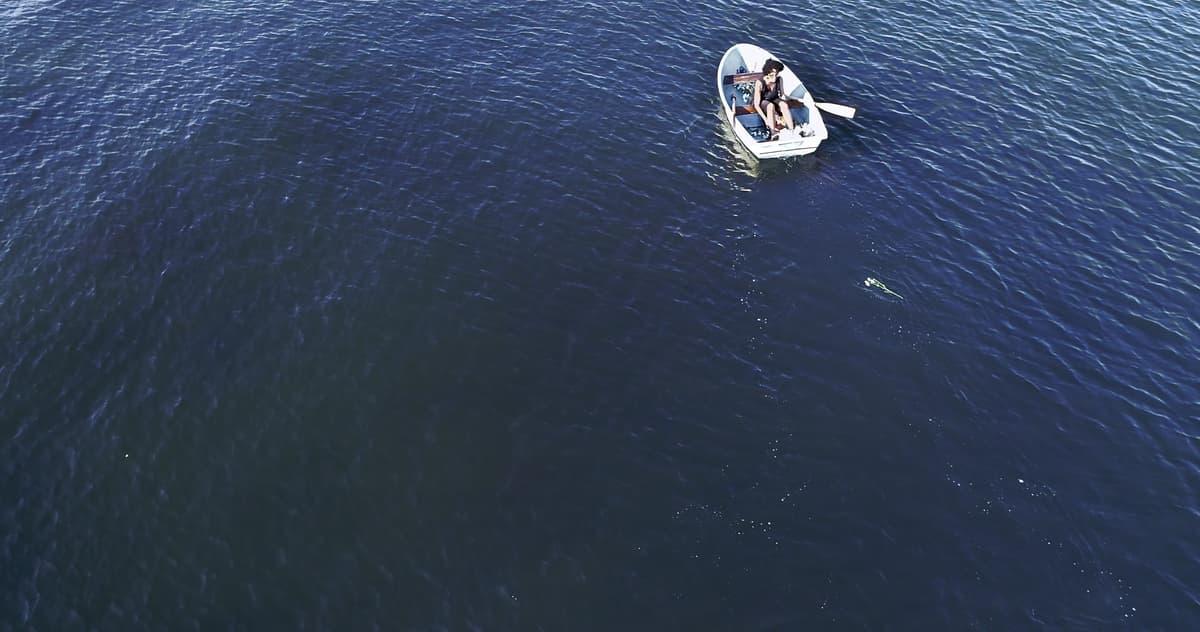 Toronto Biennial of Art Announces 2026 Artists and Theme