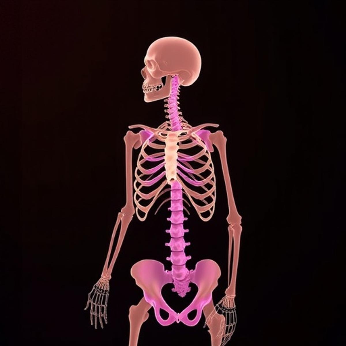 Intermittent Hypobaric Pressure Fights Aging and Osteoporosis