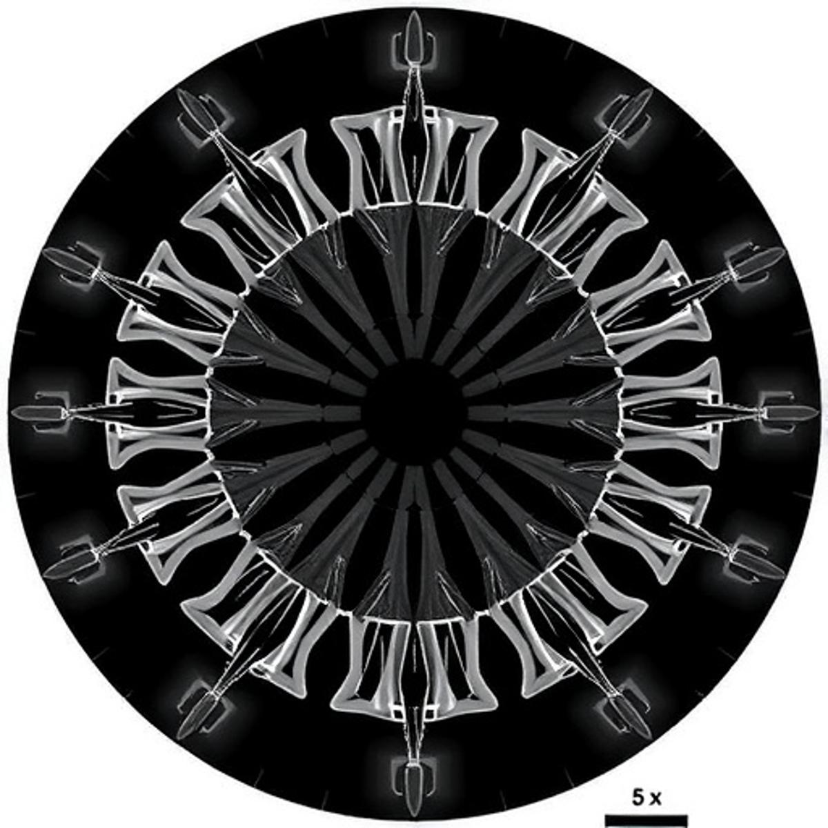 Kinetochores Regulate Anaphase Spindle Length via Depolymerization