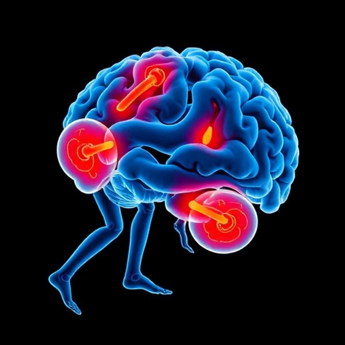 Machine Learning Assessing Fall Risk in Sarcopenic Seniors