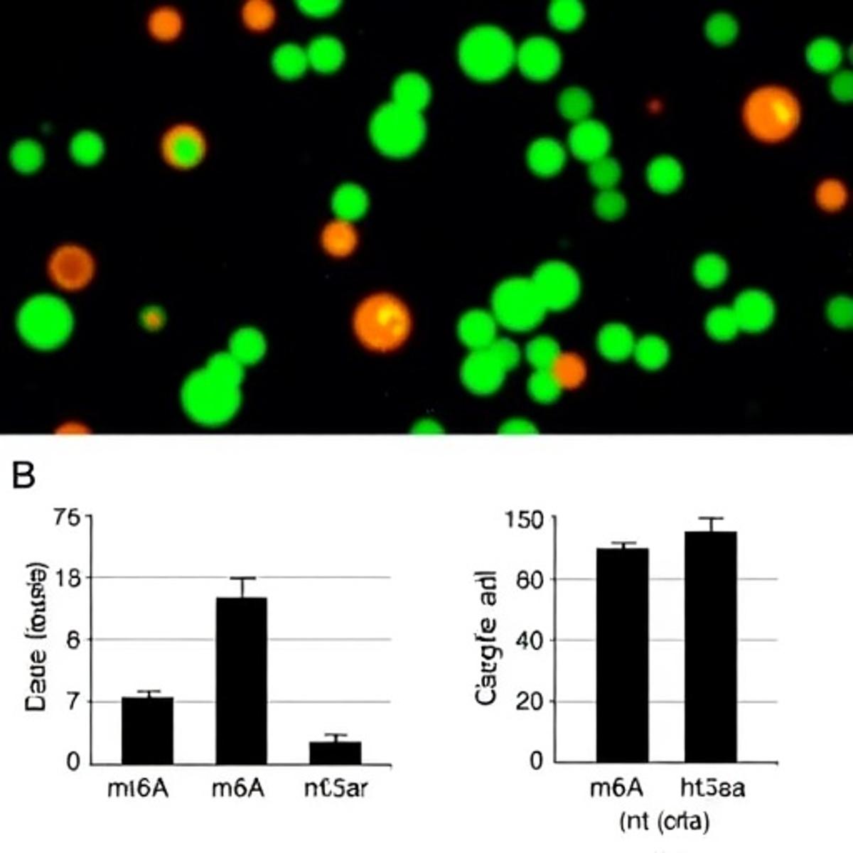 M6A Methylation Regulates Antiviral Response in Celiac