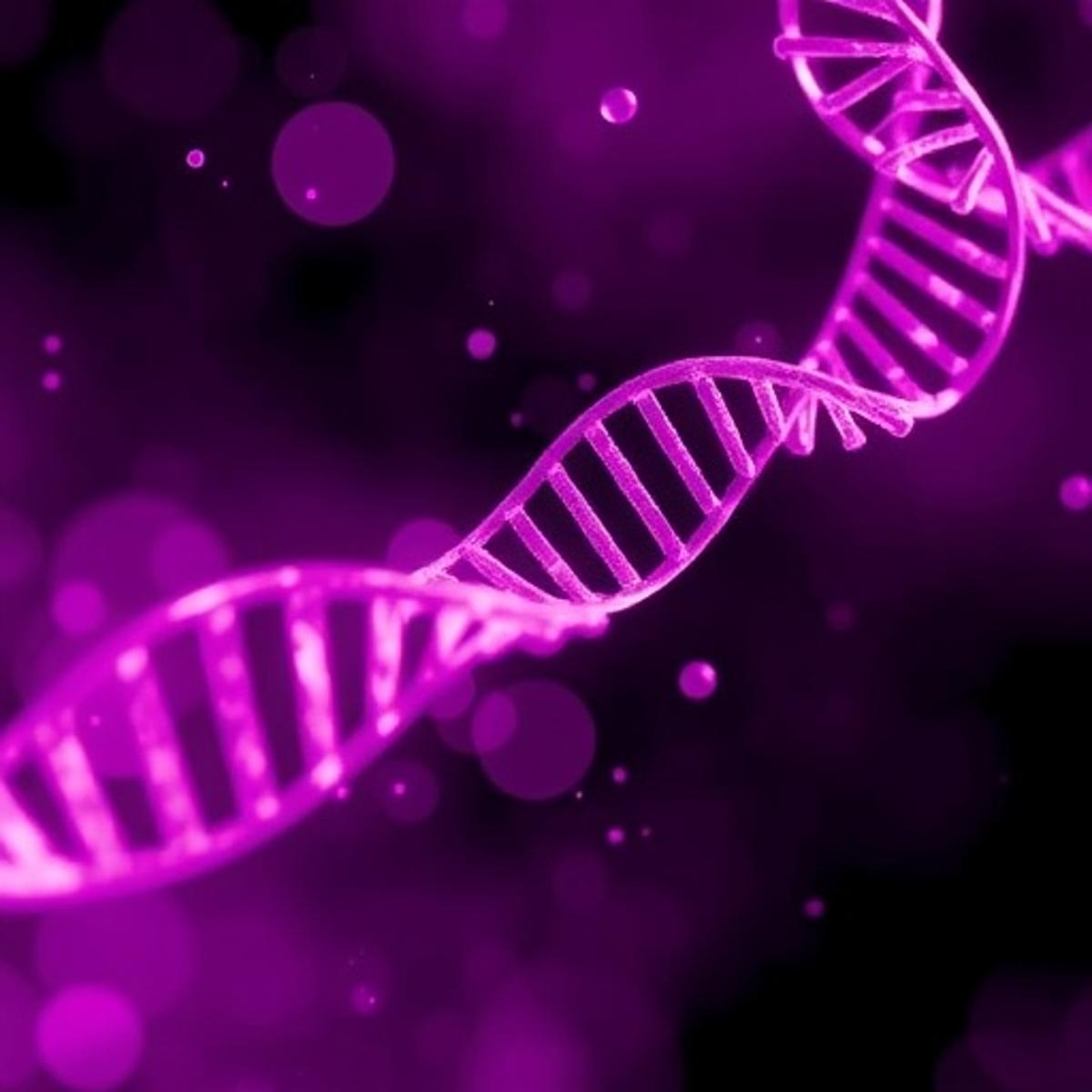 Formate Links Photorespiration to DNA Methylation