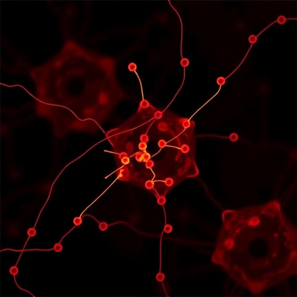 Thioflavin-T Derivatives: Novel One- & Two-Photon Amyloid Markers