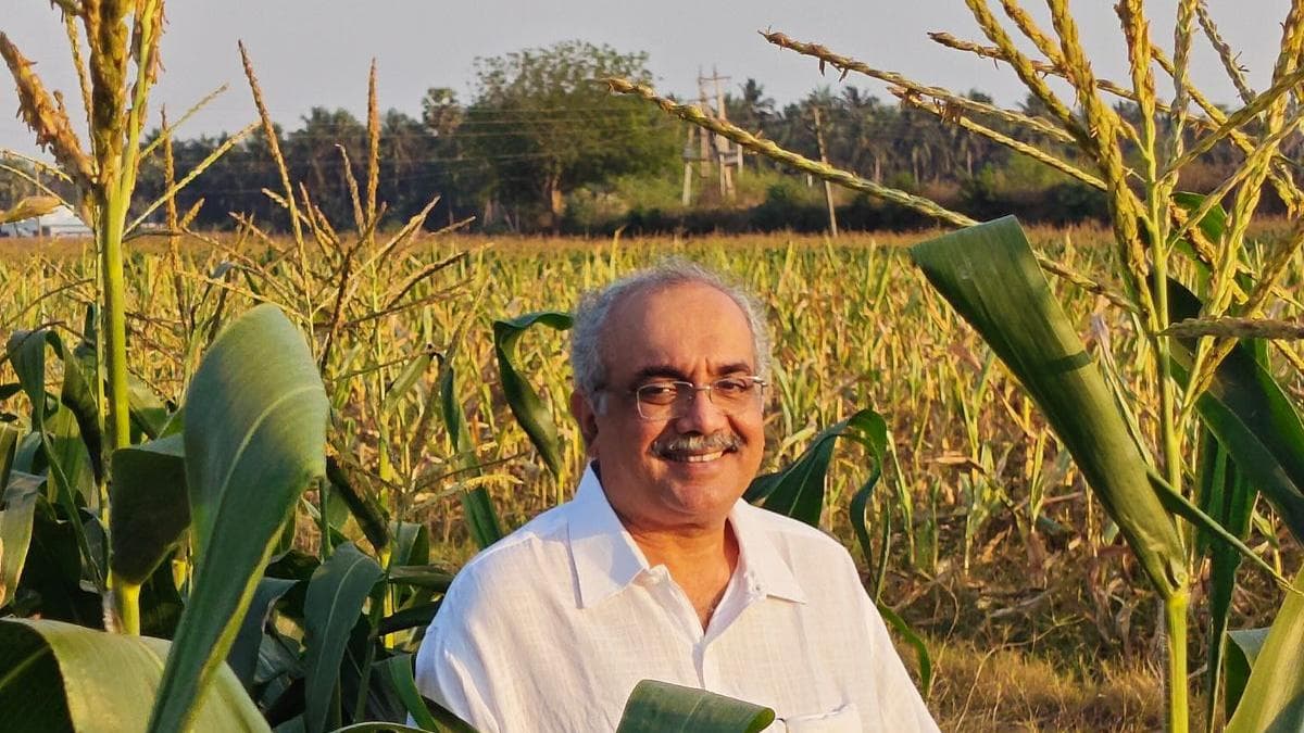 Chennai-Based Company Brings Down India’s Popcorn Maize Imports, More than Doubles Domestic Output