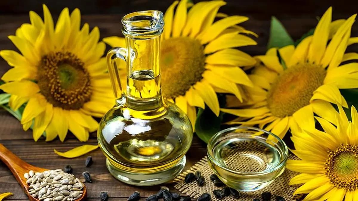 Centre Approves Procurement of 9023 Tonnes of Sunflower in Karnataka