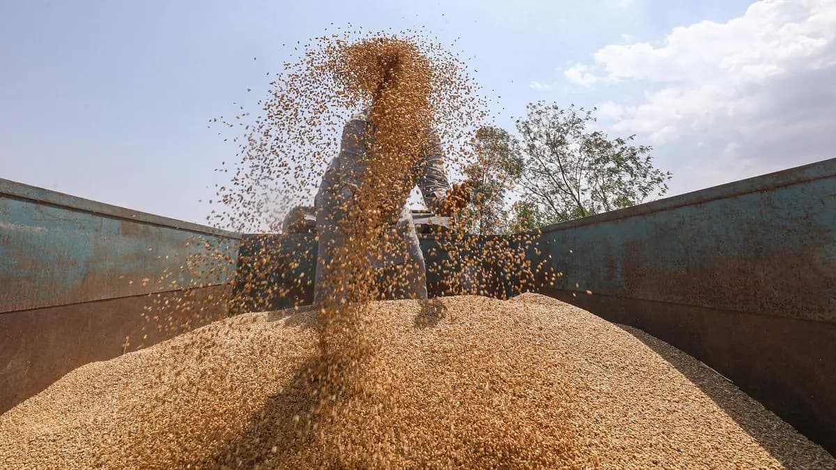 IGC Pares Global Grain Output Projections for 2026-27 by 3 Million Tonnes