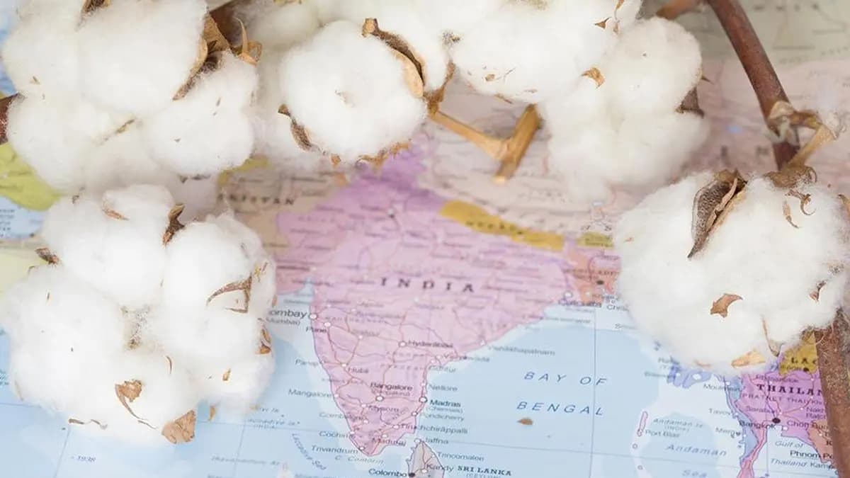 Raw Cotton Import Duty Withdrawal Essential for Competitiveness of Apparel Sector: Study