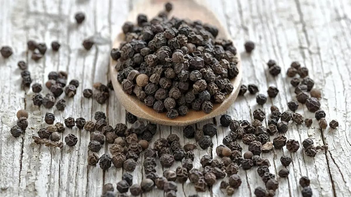 Pre-Monsoon Buying Keeps Black Pepper Prices Steady