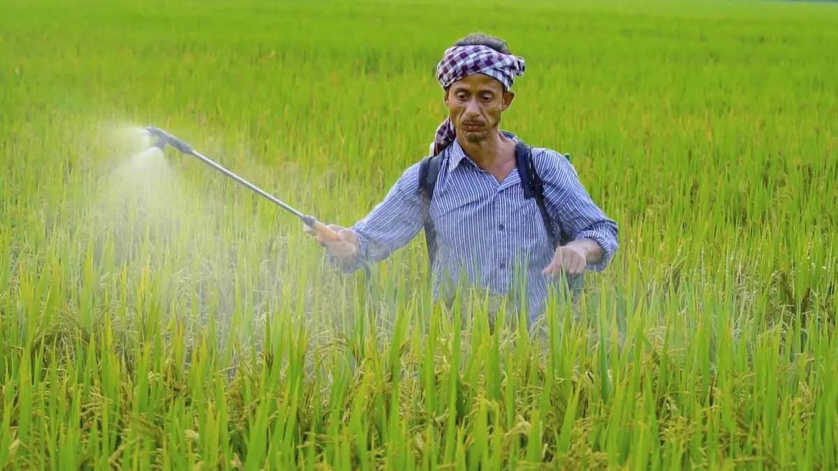 India’s Fertilizer Production Drops as Iran War Disrupts Supplies