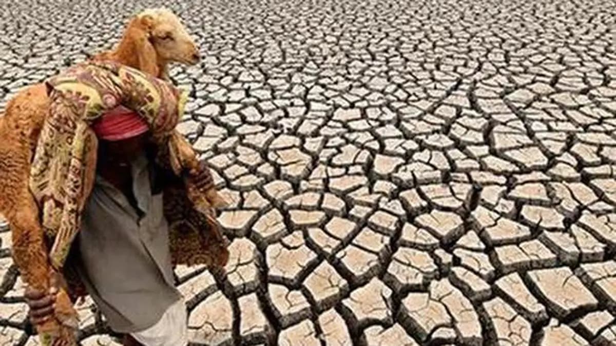 Editorial. Prepare the Ground
